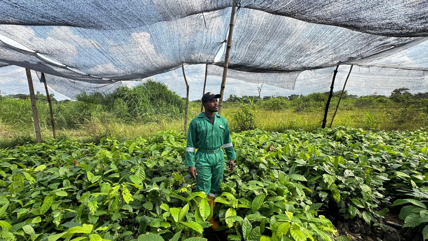 Greenhouse Production — built for the Nigerian climate
